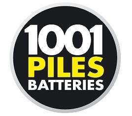 1001 Piles Batteries 1001 Piles Batteries