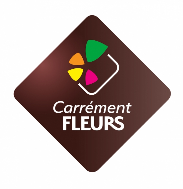 Franchise Carrément Fleurs