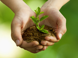 Franchise Environnement écologie Franchise Environnement écologie