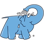 Franchise Elephant bleu