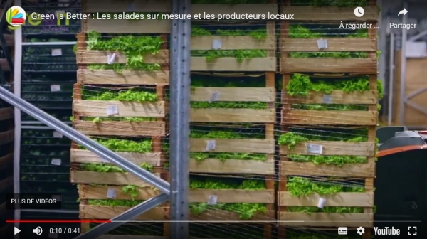 Green is Better : Les producteurs locaux Green is Better : Les producteurs locaux