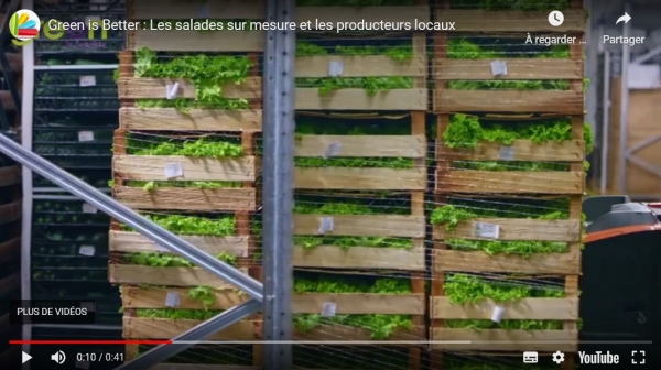 Green is Better : Les producteurs locaux