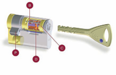 Franchise Alarme Protection Systeme
