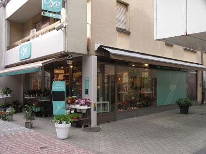 Franchise Oya Fleurs