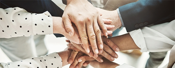 Franchise Free Dom organise la 4ème édition de la journée des intervenants