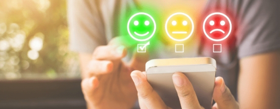 Franchise Free Dom : des franchisés satisfaits par l’accompagnement du réseau en 2023