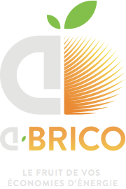Franchise Abrico | ABRICO au 80ieme RANG des entreprise d’avenir de L’année