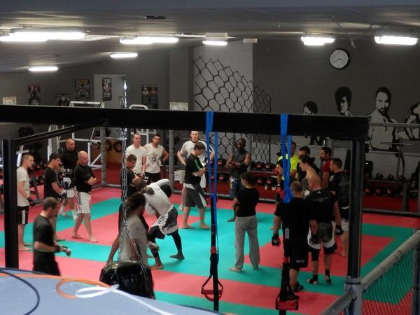 Franchise Franchise Fight'Ness