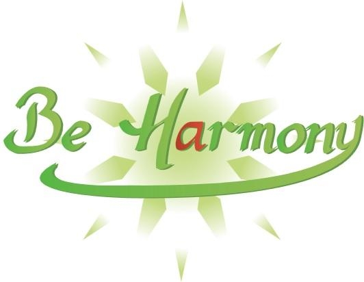 Interview de Monsieur AZORIT responsable réseau de la franchise Be-Harmony