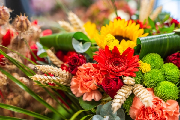 Franchise Le Jardin des Fleurs