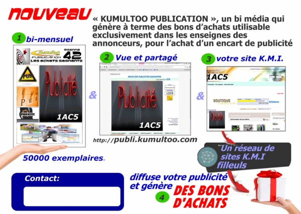 Profil du candidat à la franchise Franchise Kumultoo.com
