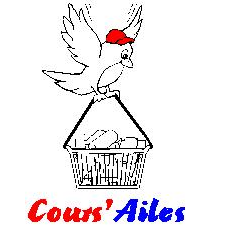 Franchise Cours'Ailes