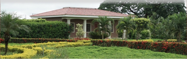 Franchise Yves Thuriès, chocolatier récoltant : l