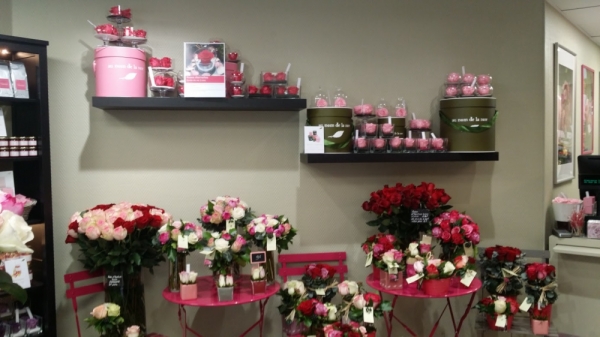Profil du candidat à la franchise Franchise Au nom de la rose