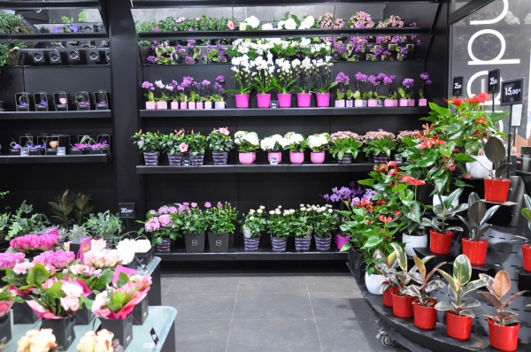 Profil du candidat à la franchise Franchise Happy