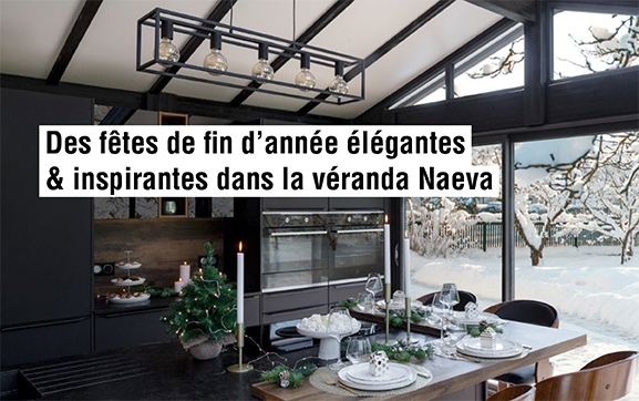 Franchise Vie & Véranda : fêtes de fin d