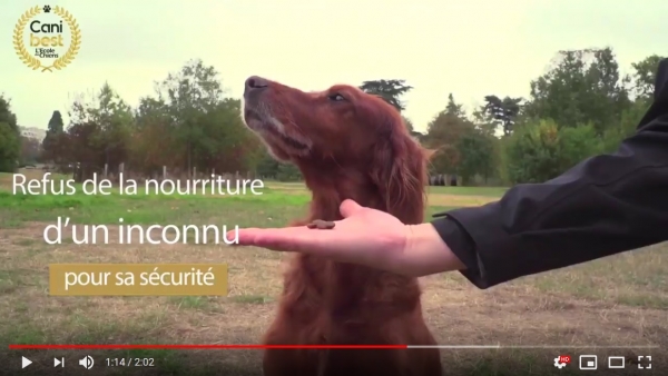 Franchise Canibest : l'école des chiens