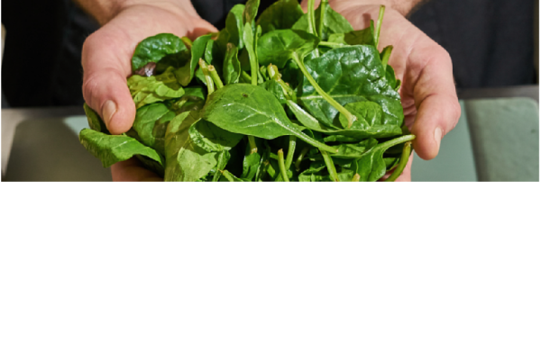 Franchise Tout & Bon lance le plateau repas du mois