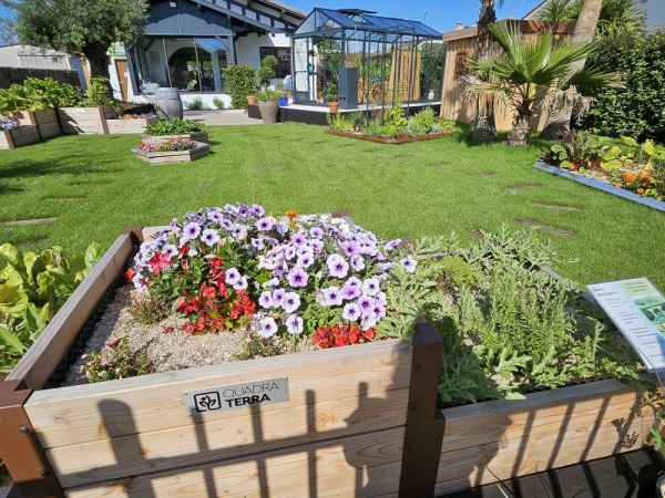 Franchise Quadra Terra