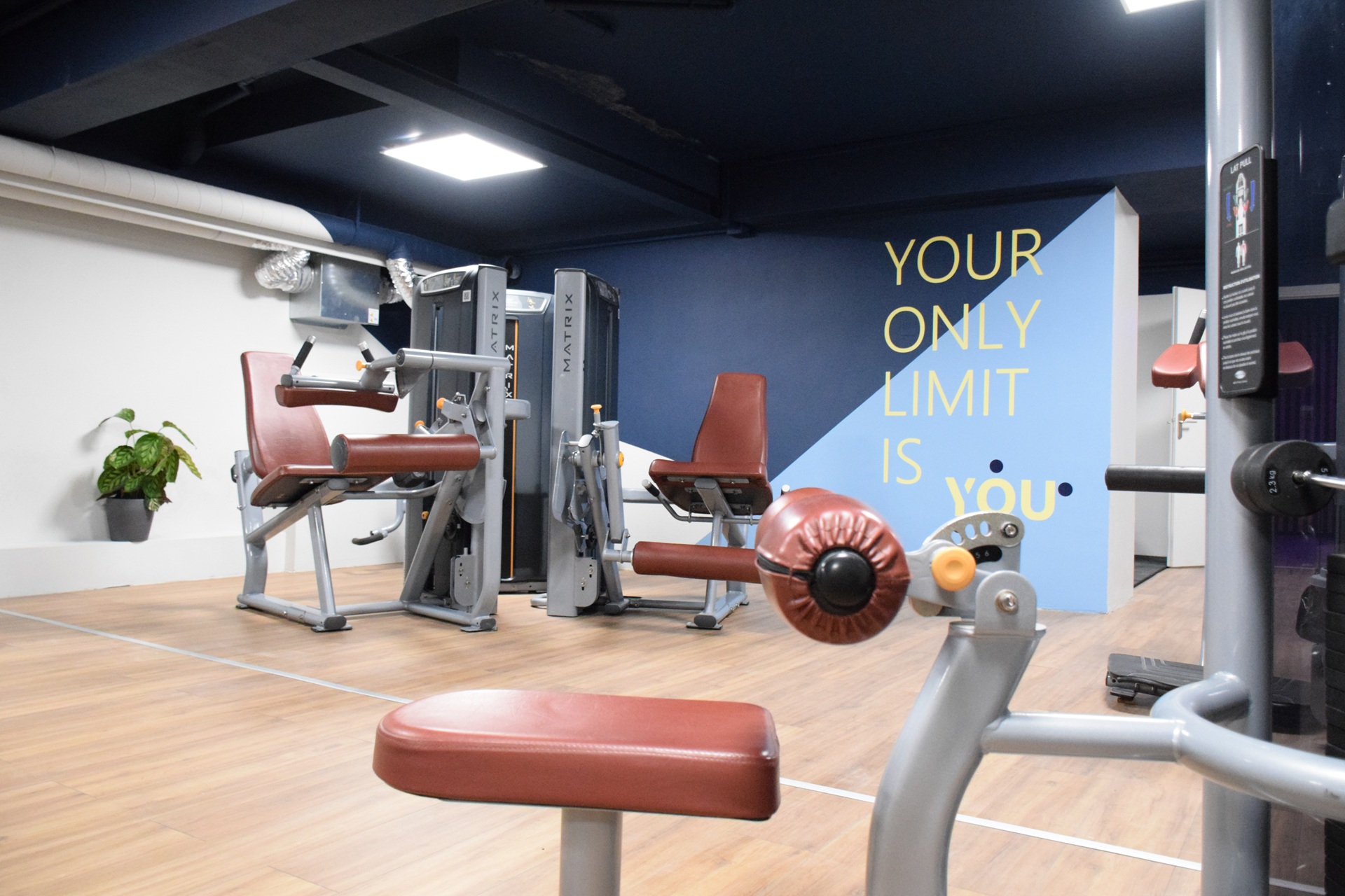 Profil du candidat à la franchise Like You Fitness and Coaching