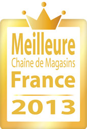 Meilleure chaîne de Magasins 2013