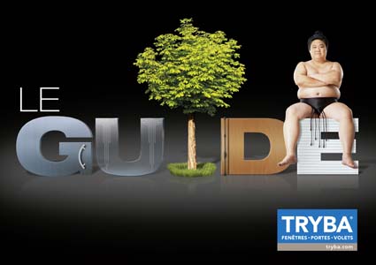 Guide 2013 de la franchise Tryba