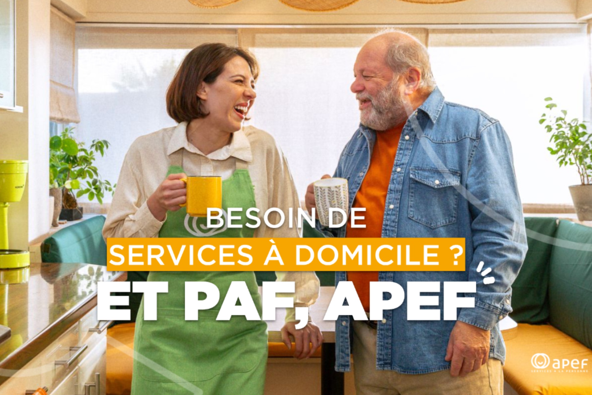 Franchise Franchise APEF 
