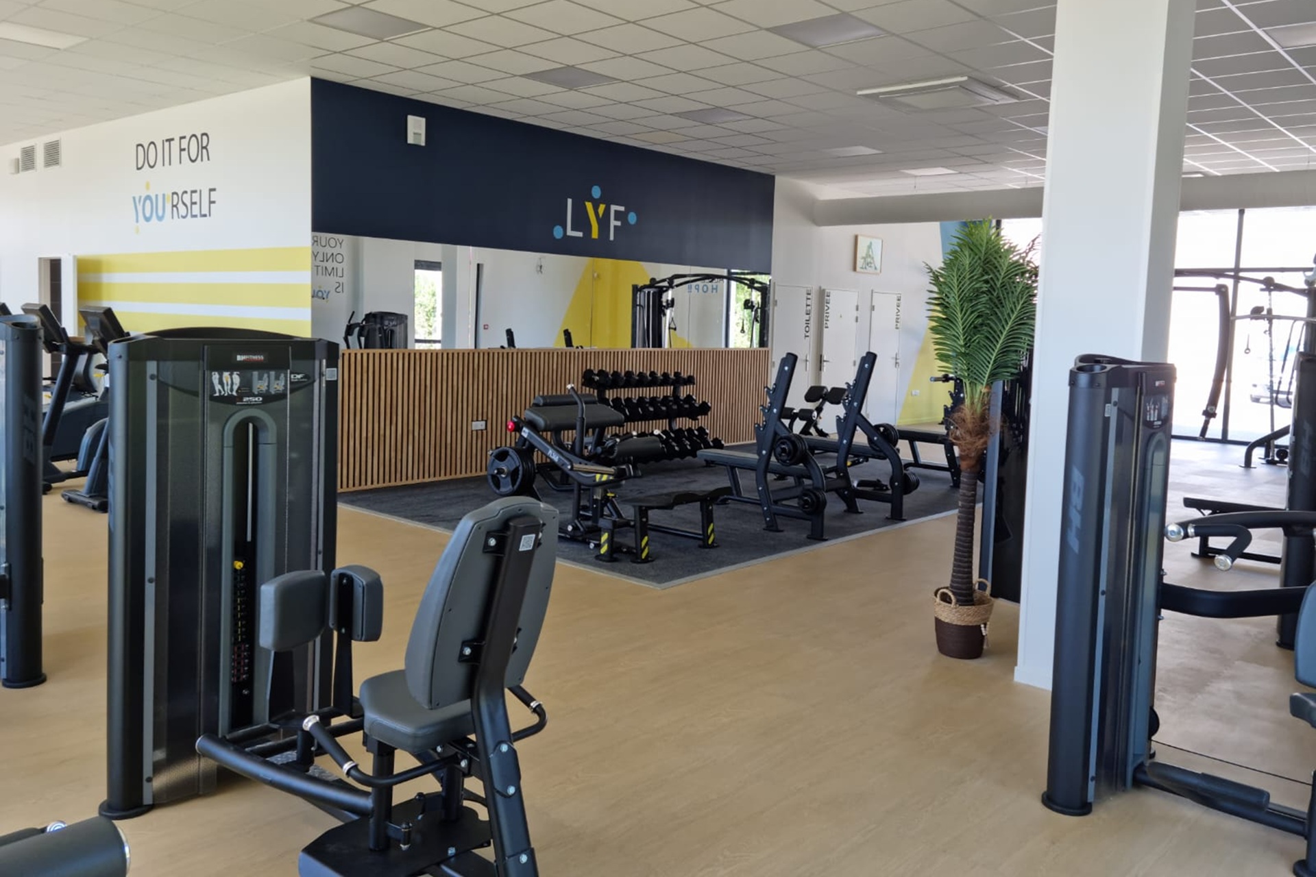 Franchise Franchise Like You Fitness and Coaching
